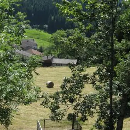 Feriehus Spacieux Avec Balcon, Wifi Gratuit, Proche Et Station De - Fr-1-589-140 Gérardmer